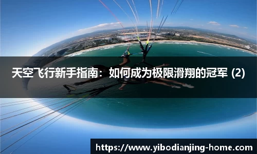 天空飞行新手指南：如何成为极限滑翔的冠军 (2)